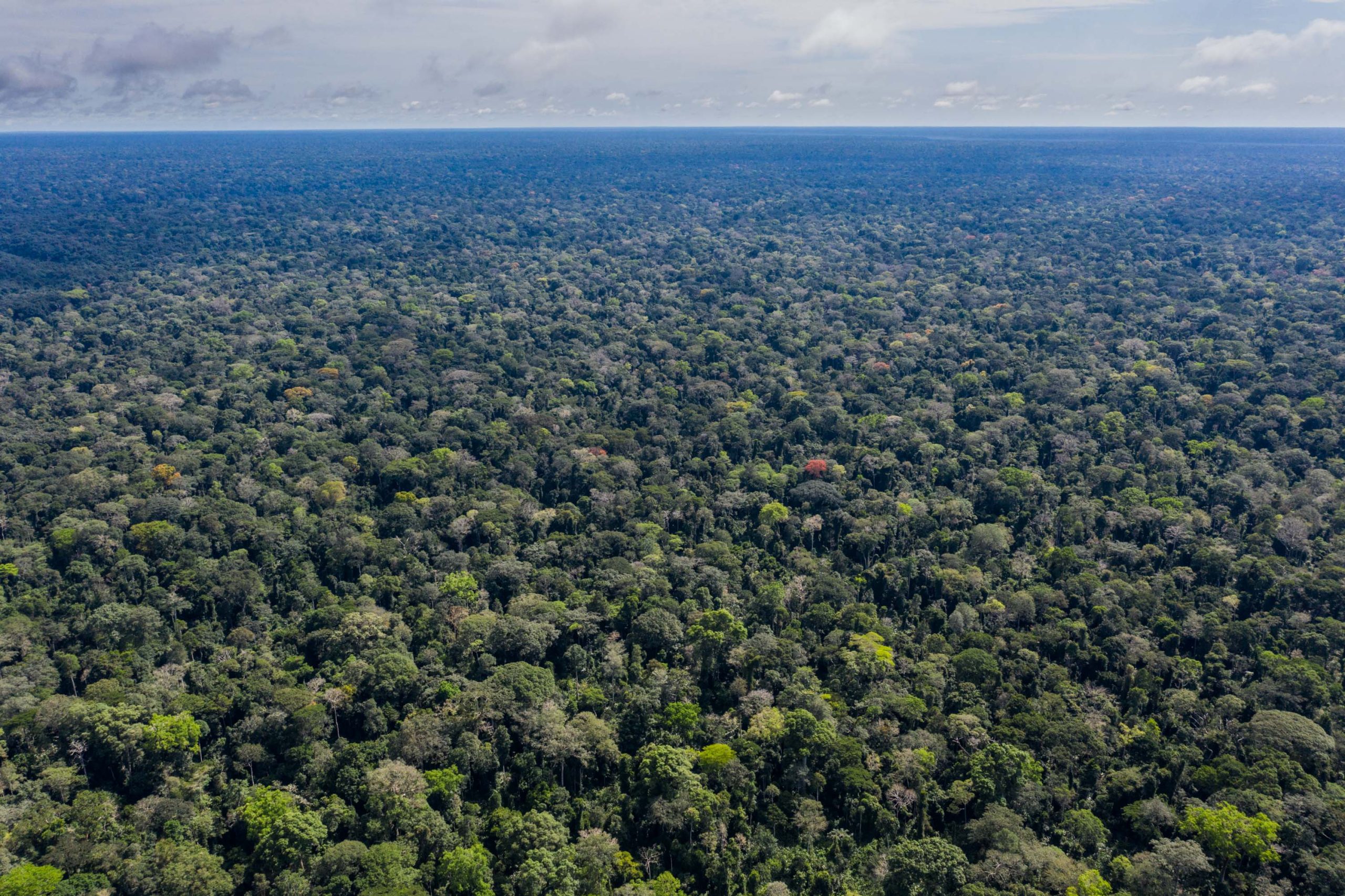 Climate benefits