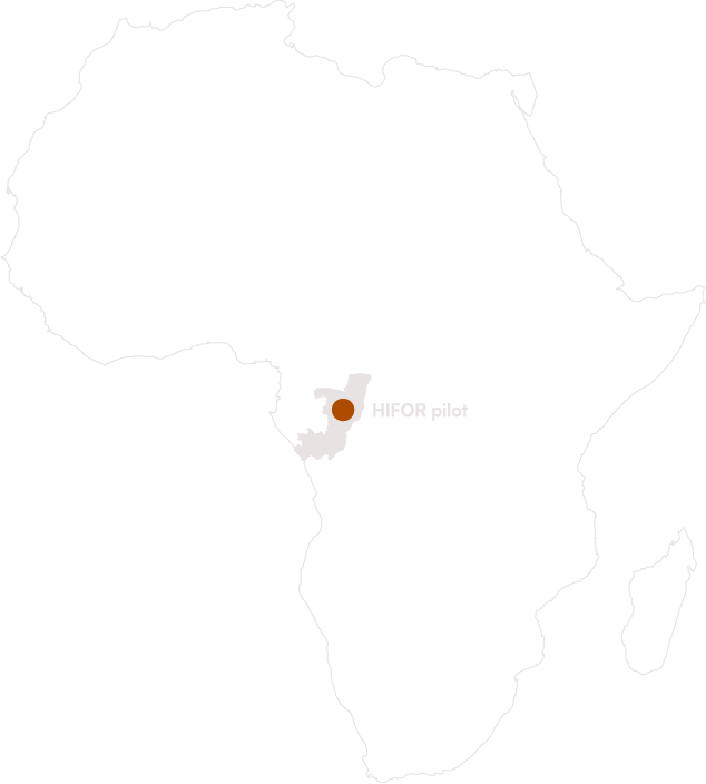 Nouabalé-Ndoki National Park