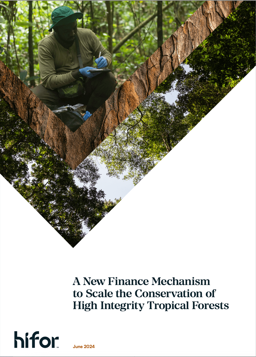 A New Finance Mechanism to Scale the Conservation of High Integrity Tropical Forests