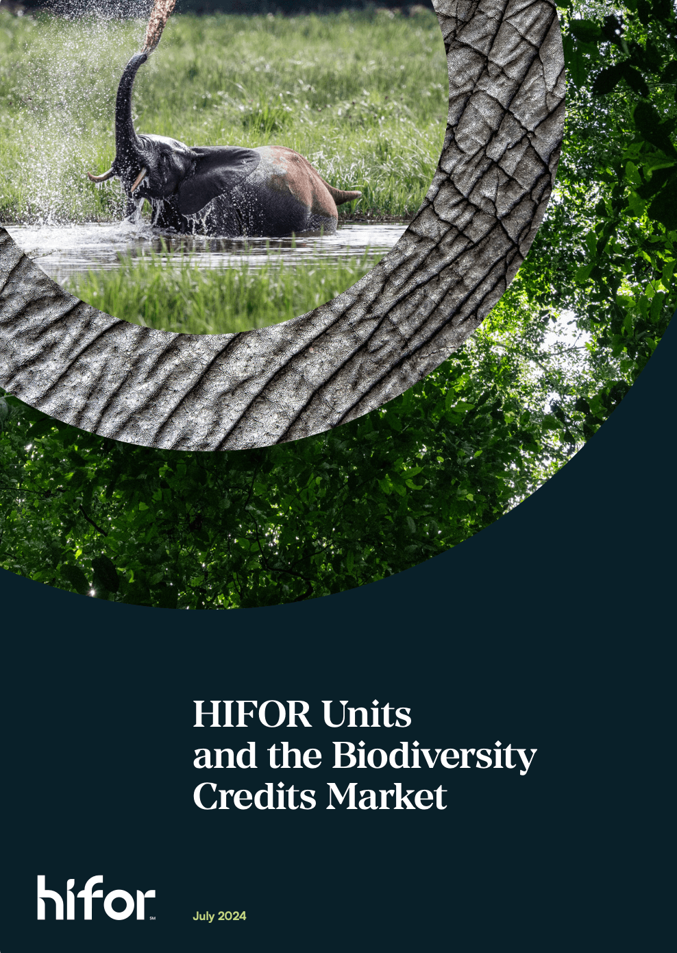 HIFOR Units and the Biodiversity Credits Market