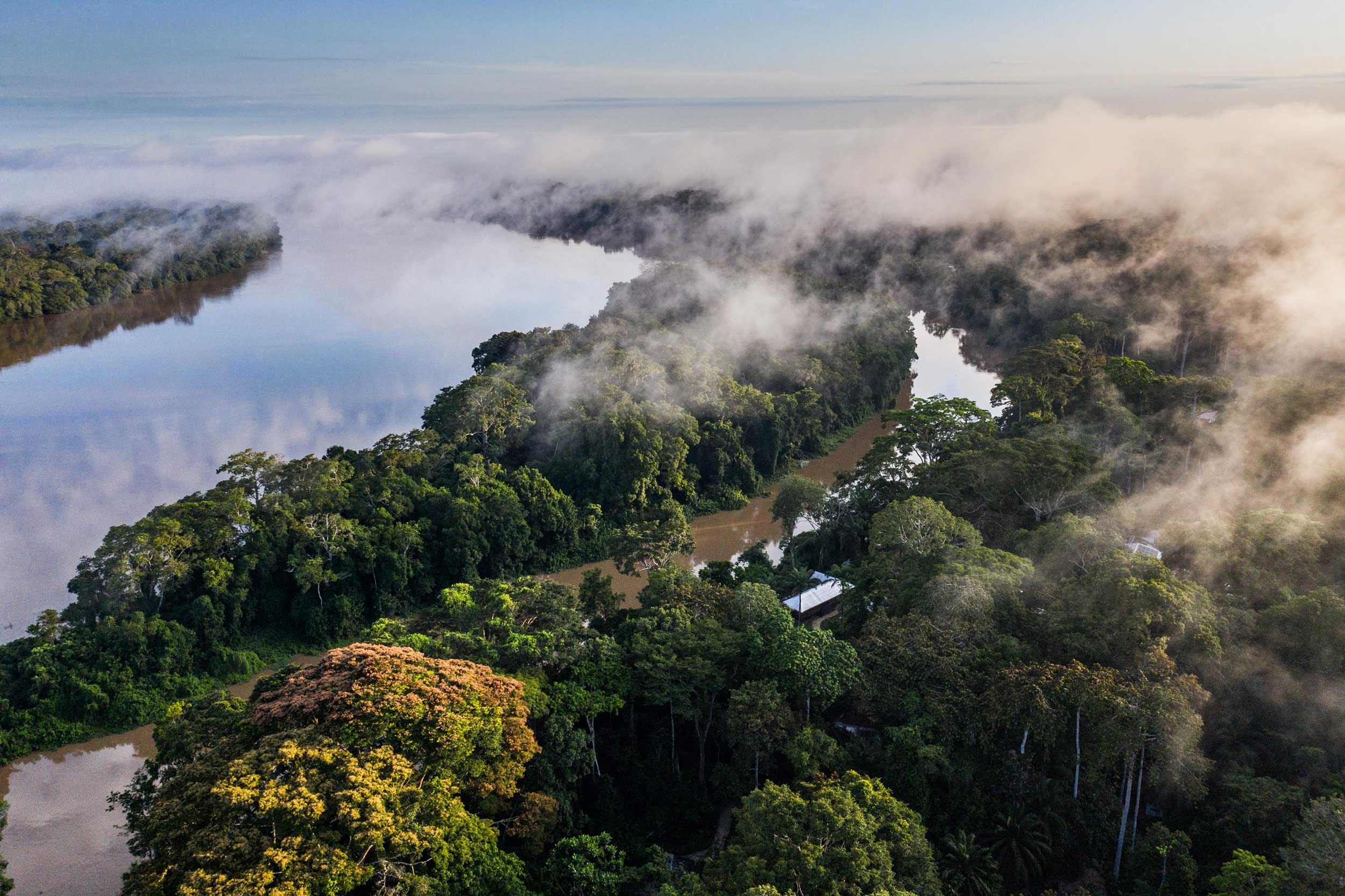 WCS and Republic of Congo Sign MoU on Implementation Of a High-Integrity Forest Investment Initiative in Nouabalé-Ndoki National Park