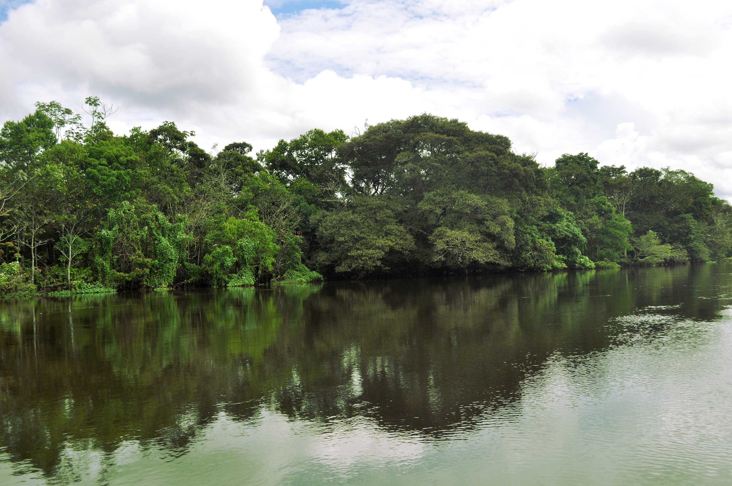 WCS Brasil and State of Amazonas Agree to Pilot Program Paying Stewards of High Integrity Tropical Forests