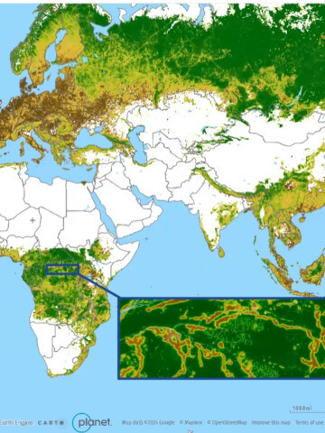 Is FLII the biodiversity metric we've been looking for?