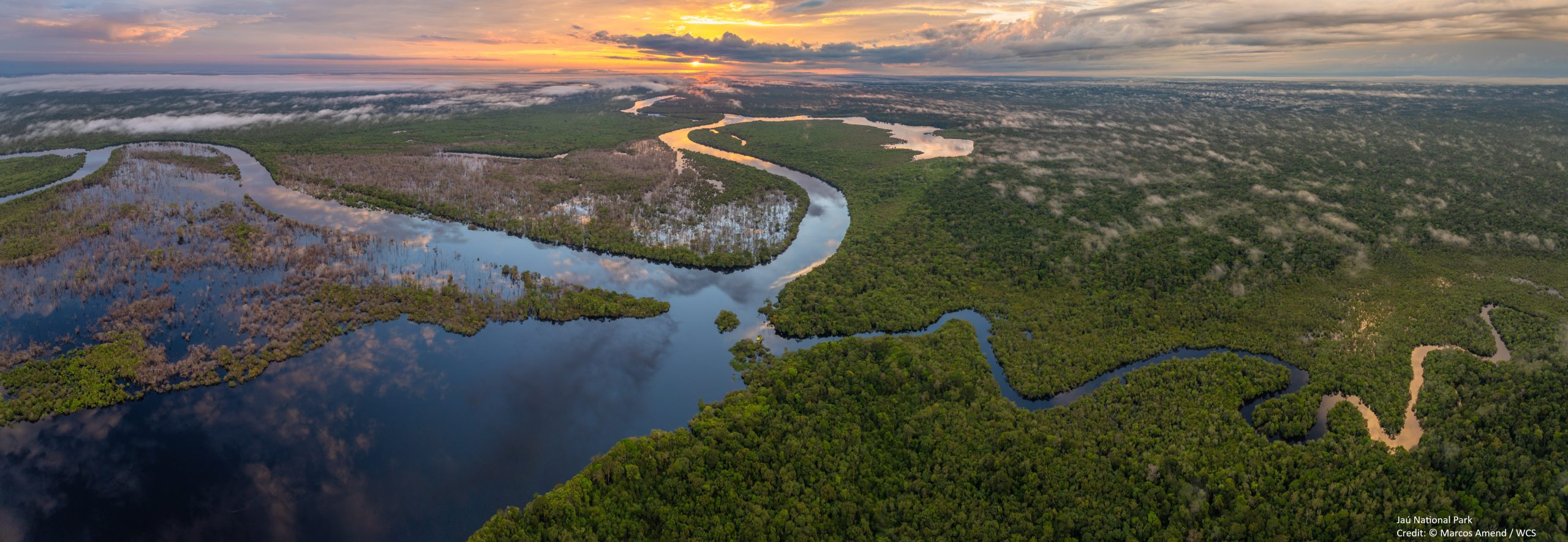 HIFOR publishes updated methodology